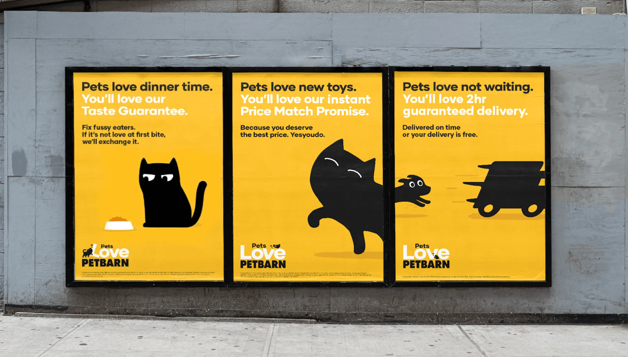 Pet barn deals